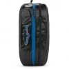 Patagonia Black Hole Cube Bag L black/fitz trout
